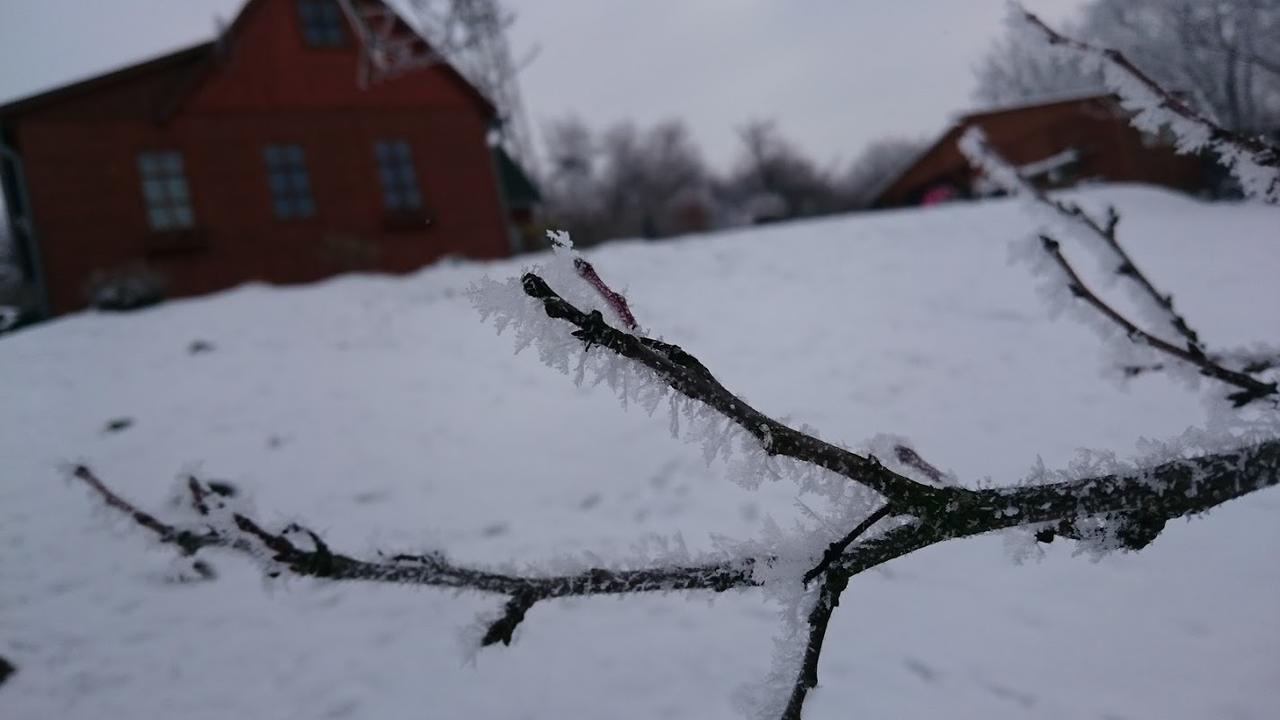 Вілла Na Vyhlidce Літомержице Екстер'єр фото